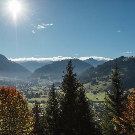 Budget Rooms Gstaad 施康里埃德 外观 照片