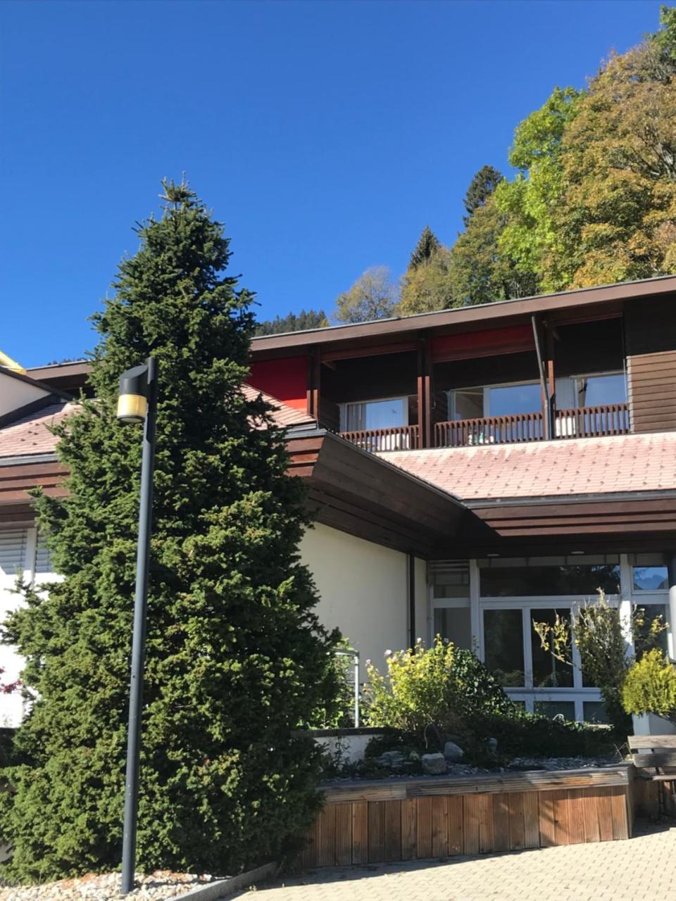 Budget Rooms Gstaad 施康里埃德 外观 照片