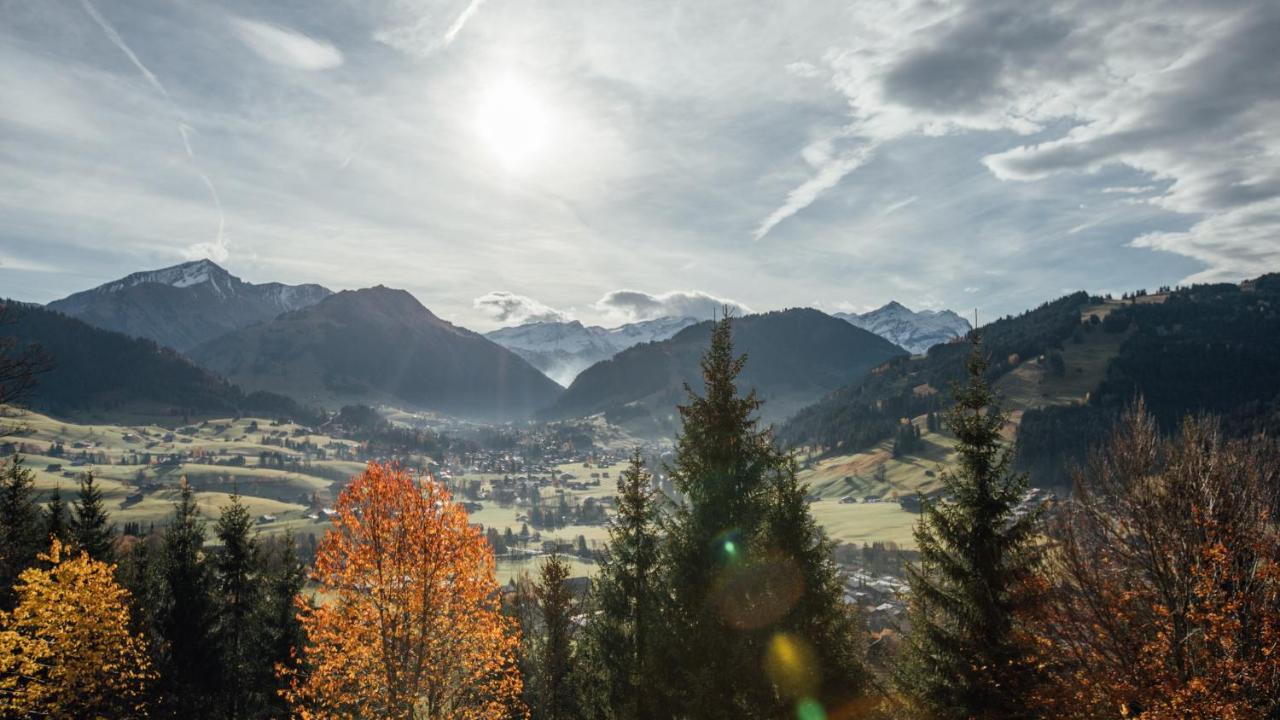 Budget Rooms Gstaad 施康里埃德 外观 照片