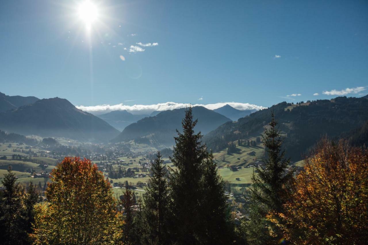 Budget Rooms Gstaad 施康里埃德 外观 照片